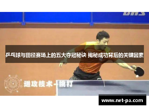 乒乓球与田径赛场上的五大夺冠秘诀 揭秘成功背后的关键因素