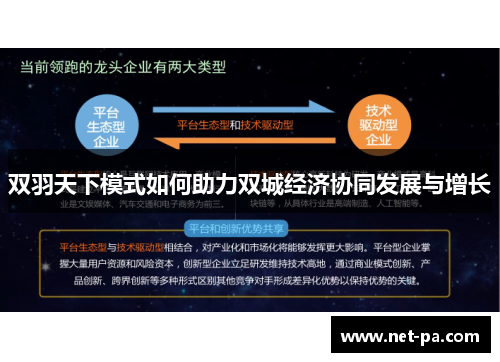 双羽天下模式如何助力双城经济协同发展与增长