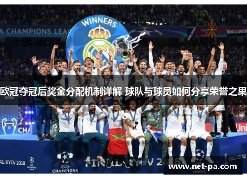欧冠夺冠后奖金分配机制详解 球队与球员如何分享荣誉之果