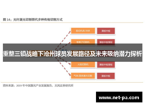 重整三镇战略下沧州球员发展路径及未来吸纳潜力探析