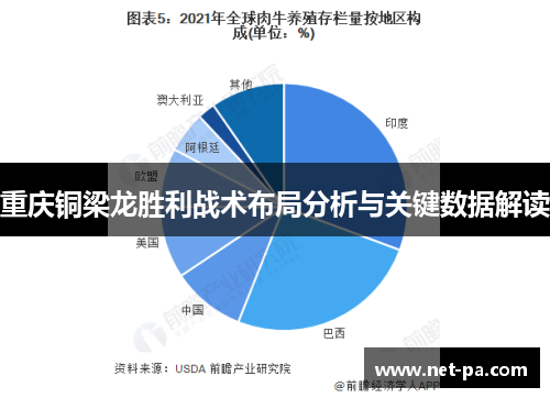 重庆铜梁龙胜利战术布局分析与关键数据解读