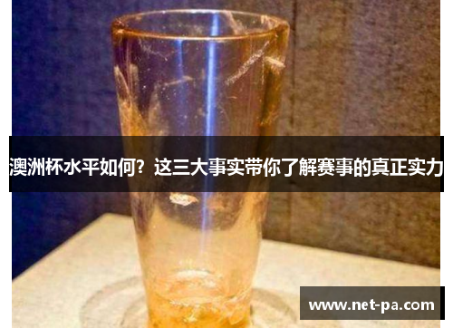 澳洲杯水平如何？这三大事实带你了解赛事的真正实力