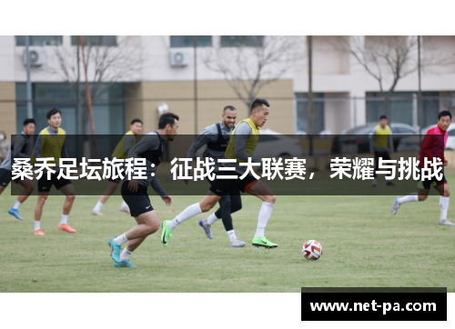 桑乔足坛旅程：征战三大联赛，荣耀与挑战